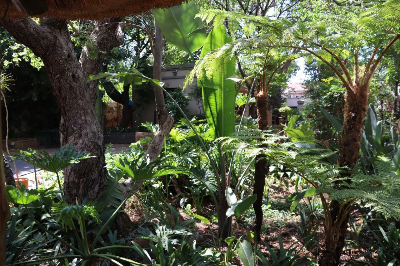 Greenwoods Self-Catering Pretoria-Noord Exteriör bild